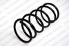 ROC CS0891 Coil Spring